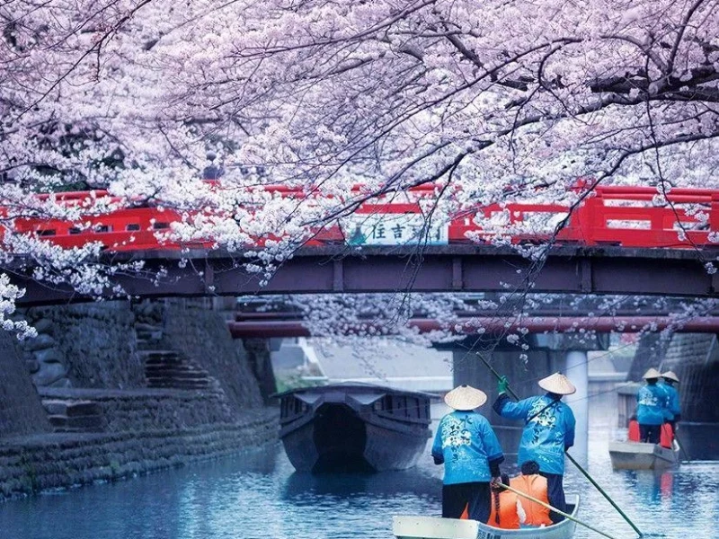 Nagoya'dan Özel Tren ve Tekneyle Efsane Sakura Turu