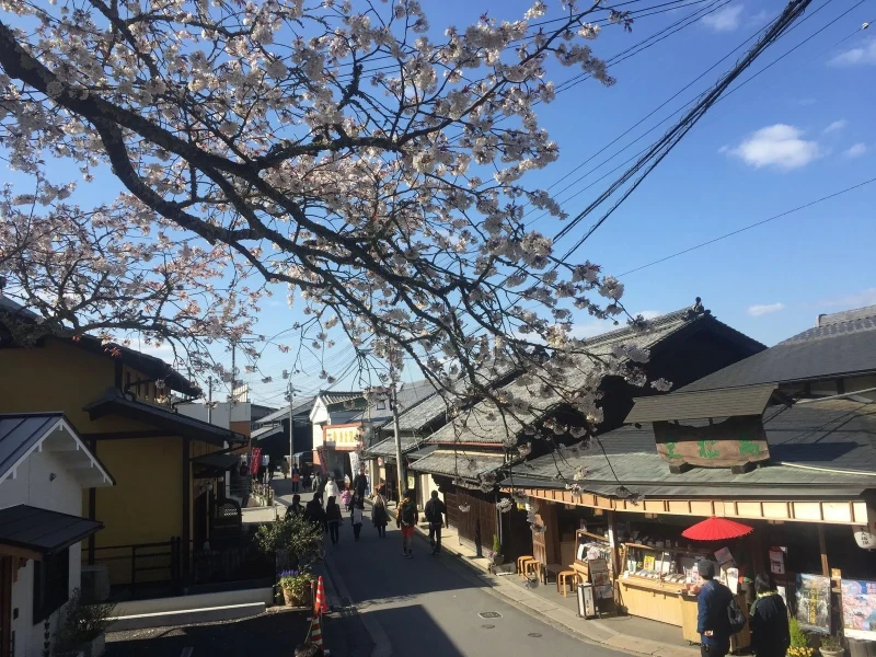 Osaka'dan Nara'da Kiraz Çiçekleri ve Büyük Buda ile Yamanın Çilek Turu