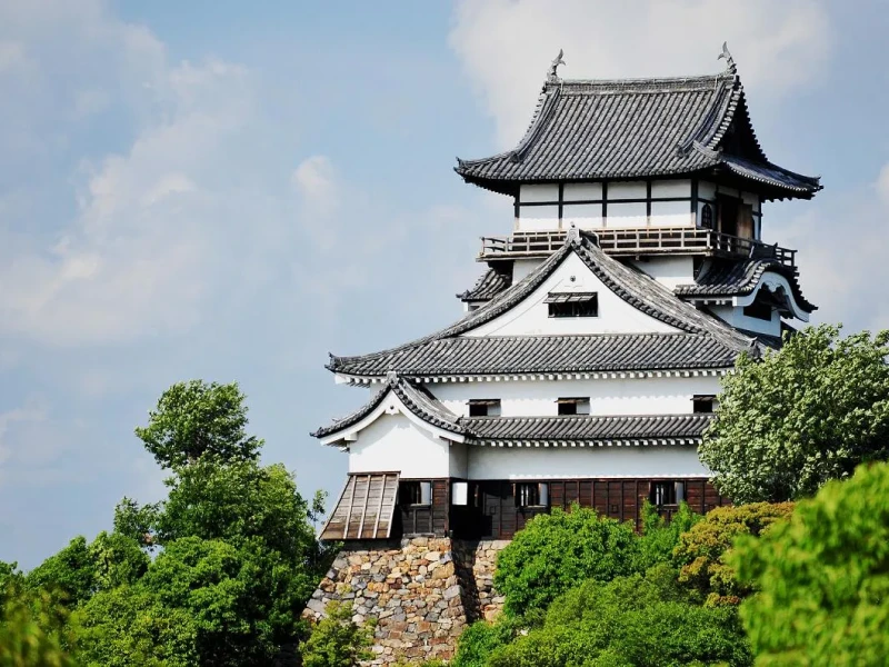 Nagoya'dan Inuyama Özel Tur: Kimono ile Kale Kasabası ve Çay Seremonisi