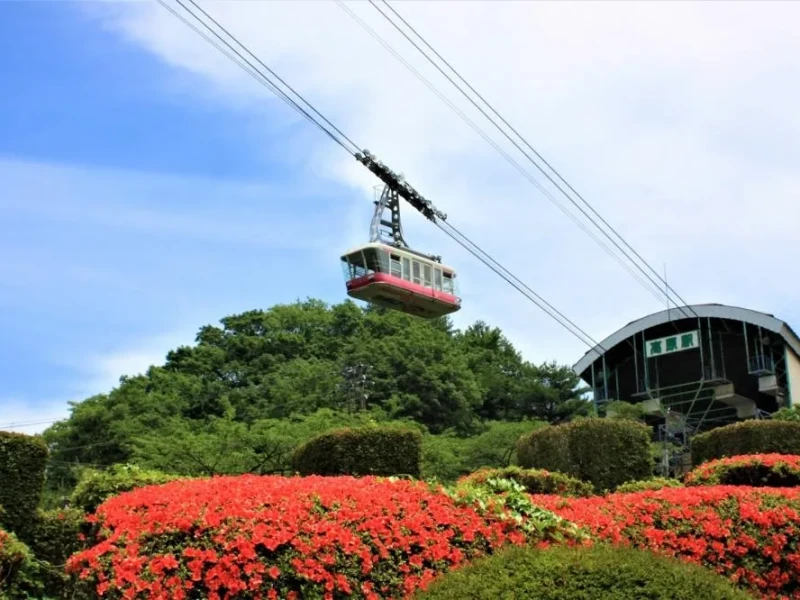 Oita Klasikleri: Dazaifu, Yufuin ve Beppu'den Günlük Tur