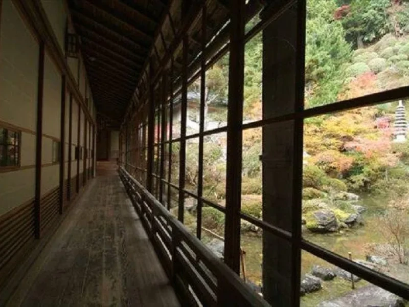 Kyoto'dan 2 Günlük Koya Dağı Yürüyüşü