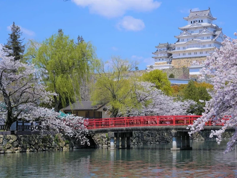 Himeji Kalesi'nde Kiraz Çiçeği ve Çilek Toplama Turu