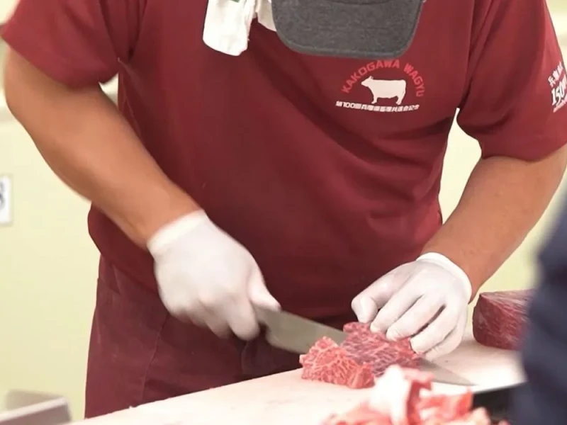 Kakogawa Wagyu ve Kobe Etli Shabu Shabu Deneyimi