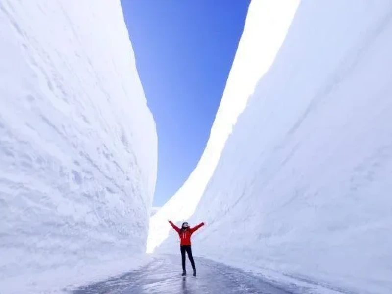 Tokyo'dan 2 Gün: Tateyama Kurobe Alp Yolu ve Shirakawa-go Dünya Mirası