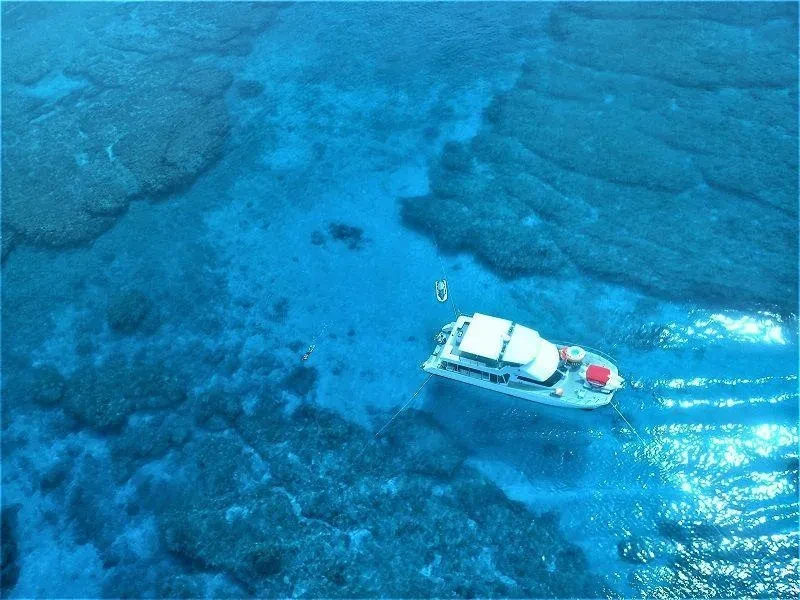 Okinawa Kerama Adaları Yarım Günlük Deniz Kaplumbağası ve Şnorkel Turu