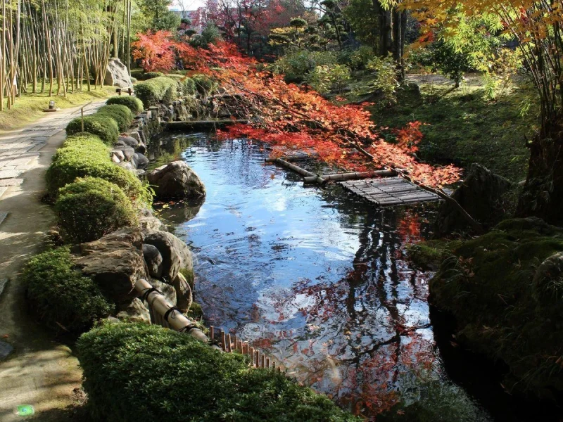 Tarihi Japon Bahçelerinde Kendi Shokado Bento Kutunu Tasarla