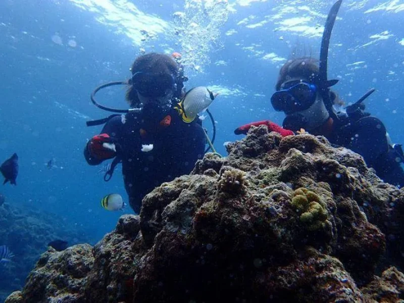 Okinawa'da Mavi Mağara Dalış Keyfi (Tekne İle Erişim)