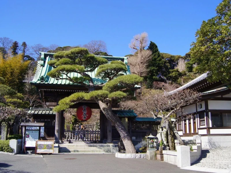 Kamakura Yarım Gün Yürüyüş ve Yerel Deneyim