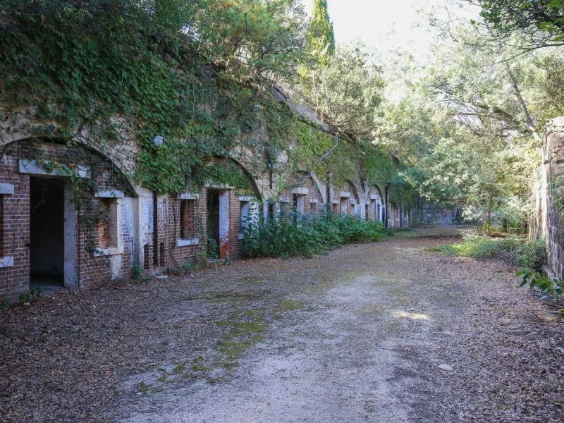 Tavşan Adası ve Hiroshima Sake Turları