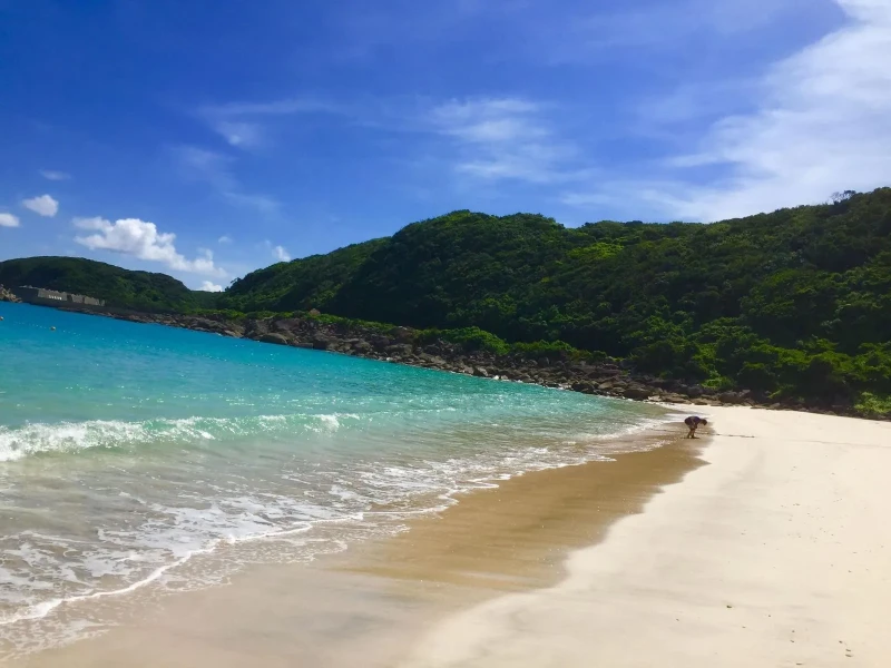 Kagoshima'dan Hızlı Jetbotla Yakushima Günübirlik Turu
