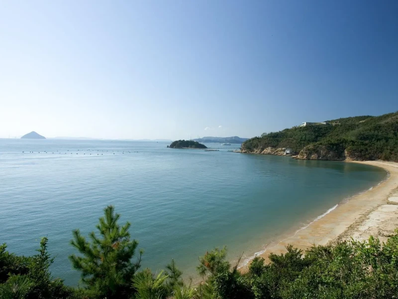 Osaka'dan Naoshima Günlük Özel Tur