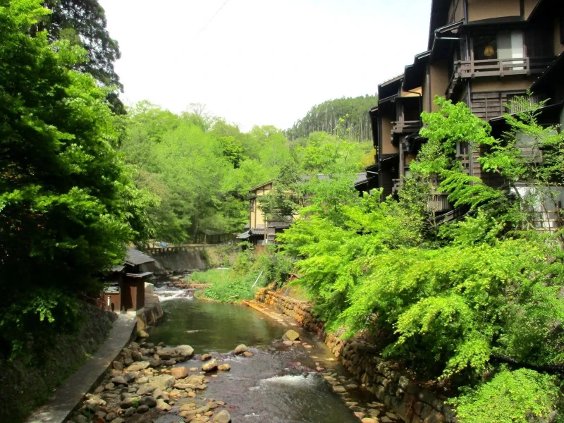 Kumamoto Havalimanı'ndan Kurokawa Onsen'e Özel Transfer ve Seçmeli Doğa Turları
