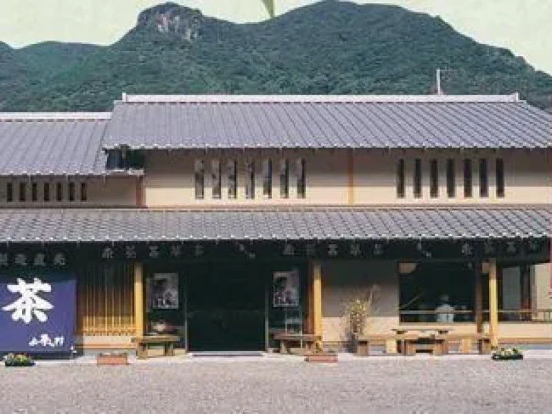 Sasebo Limanı'ndan Saga'nın Çay ve Ninja Dünyasına Yarım Gün Turu
