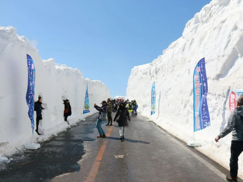 Zao Kar Duvarı ve Sakura Gezisi: Ohanami ile 1 Günlük Otobüs Turu