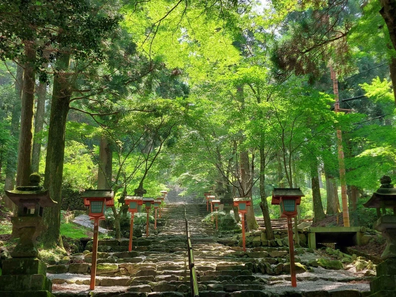 Fukuoka Chikuho: Hikosan Tapınağı ve Showa Dönemi Pazarı Turu