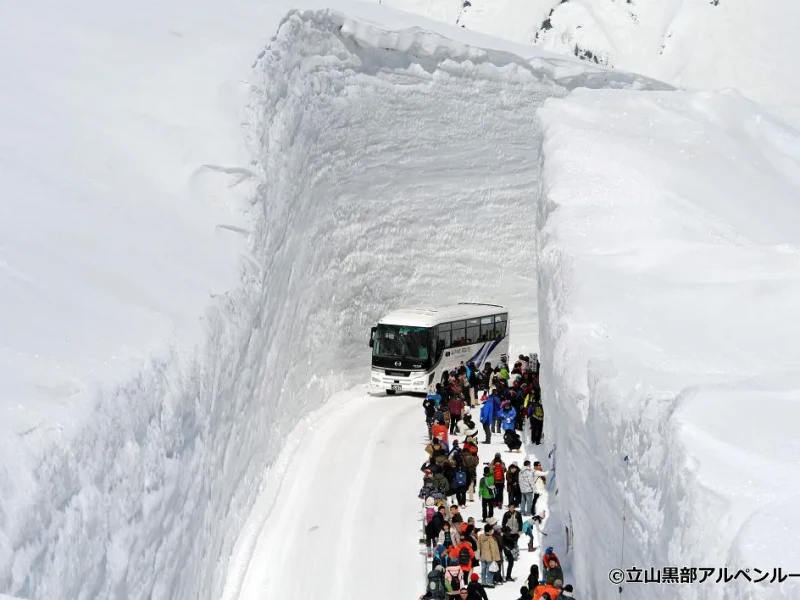 Nagoya'dan Tateyama Kurobe Kar Duvarları Festivali Günübirlik Tur