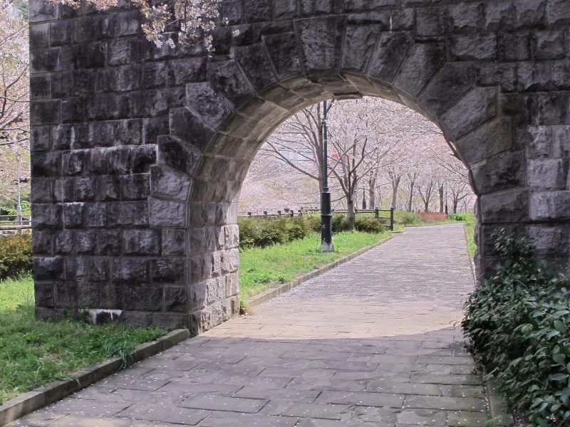 Nagasaki’de Kiraz Çiçeği ve Hanami Keyfi