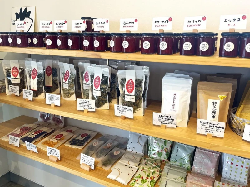 Fukuoka Çilek Toplama ve Sakura Boyama Atölyesi
