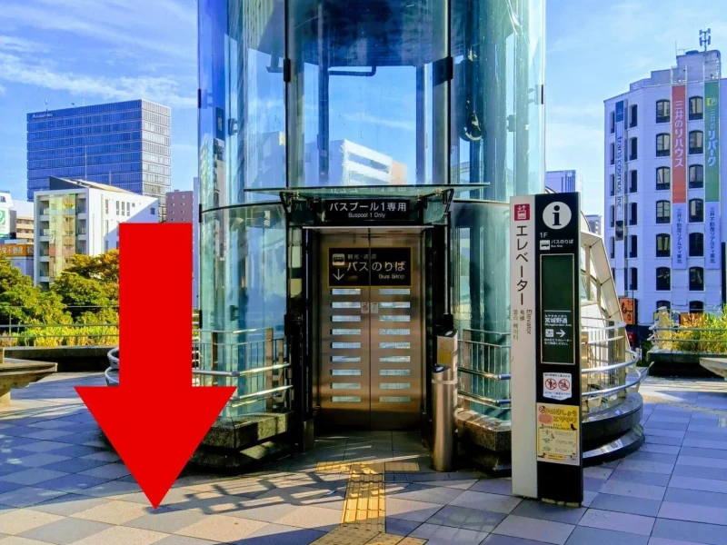 Zao Tilki Köyü ve Ginzan Onsen Günübirlik Otobüs Turu