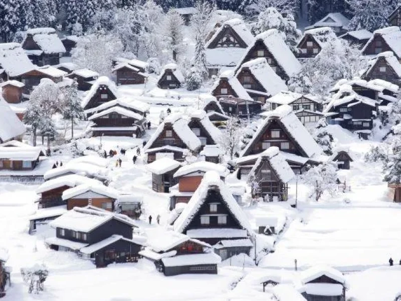 Nohi Otobüsü ile Dünya Mirası Shirakawago ve Gokayama Turu