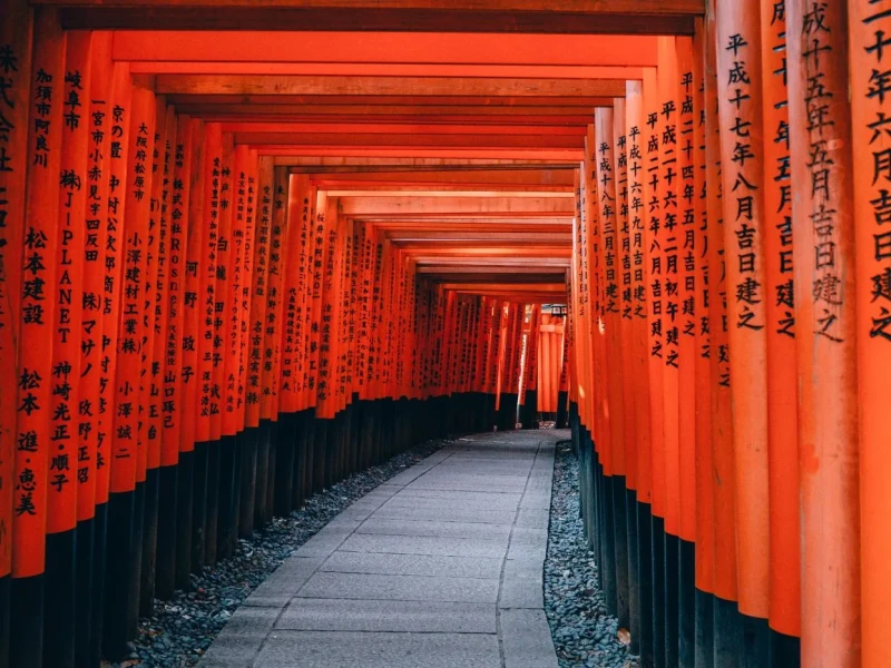 Arashiyama, Fushimi Inari ve Kinkakuji Tapınağına Günlük Tur (BF)