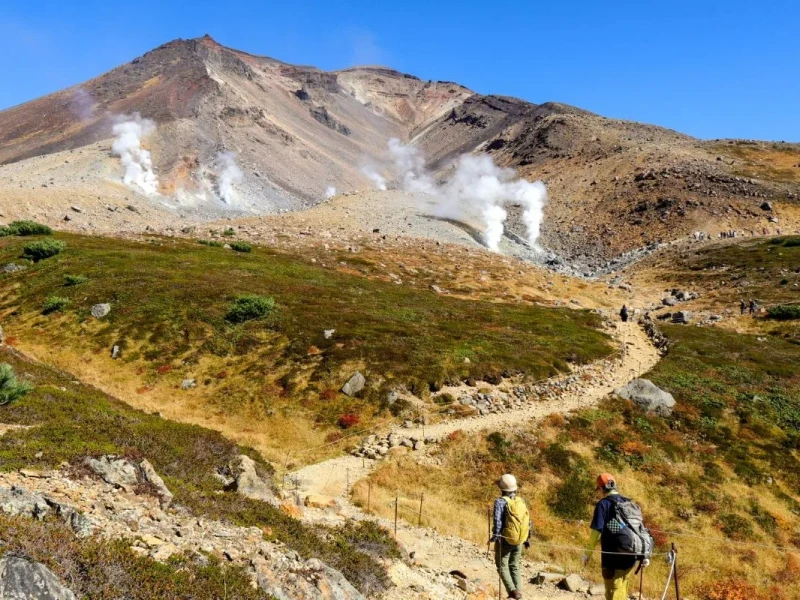 [Onaylı Hareket & Öğle Yemeği Dahil] Mt. Asahidake Sky Garden Yürüyüşü: Japonya'nın İlk Sonbahar Renkleri