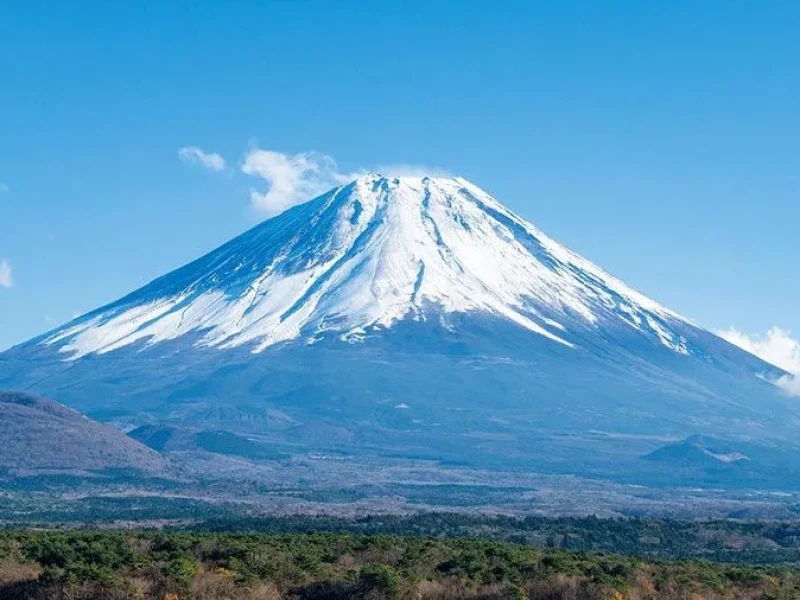 Fuji Dağı ve Arakura Sengen Tapınağı Hato Otobüsü Turu