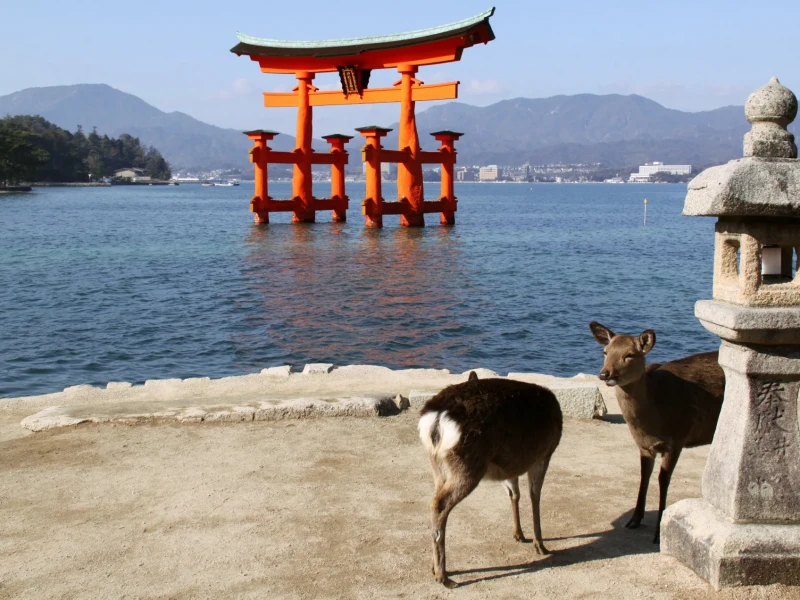 Hiroshima ve Miyajima'ya 1 Günlük Otobüs Turu (Hiroshima'dan)