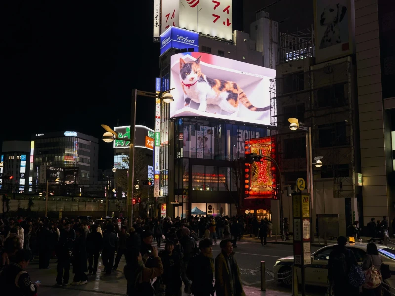 Tokyo: Shinjuku'nun Gece Hayatını ve Gizli Arka Sokaklarını Keşfetme Yürüyüş Turu