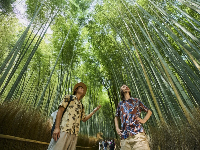Kyoto: UNESCO Dünya Mirası Alanları Arashiyama Yürüyüş Turu