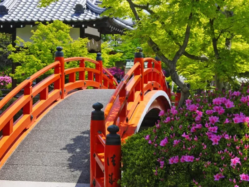 Kyoto'daki UNESCO Dünya Mirası Nijo Kalesi'nde Rehberli Yürüyüş Turu