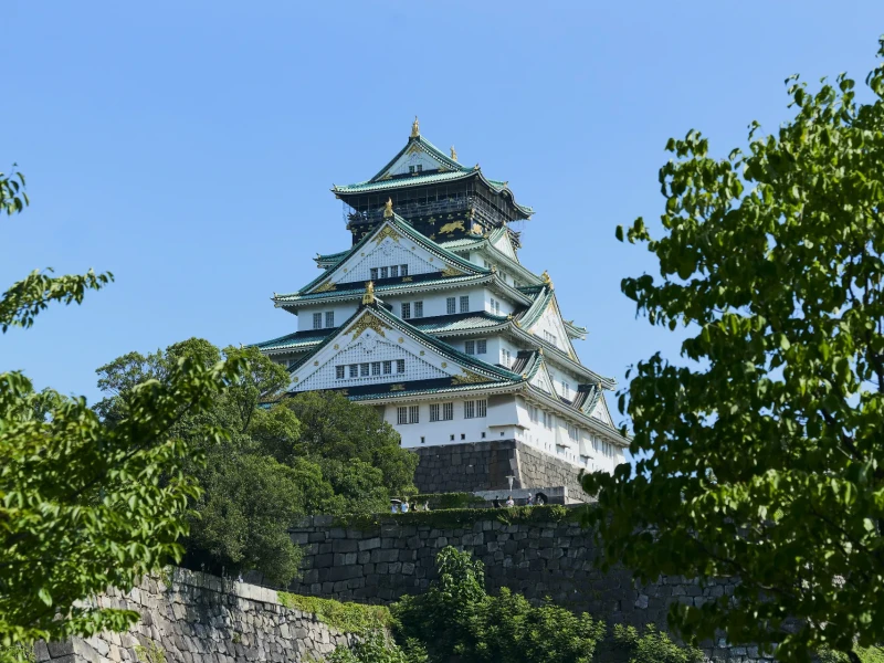 Osaka: Kale Tarihi Yürüyüş Turu ve Kale Kulesi Girişi
