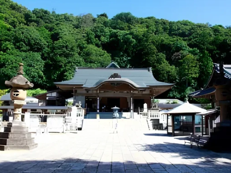 Zen Harmony: Ichibata Yakushi'nin Tarihini ve Başrahip ile Meditasyonu Keşfetmek