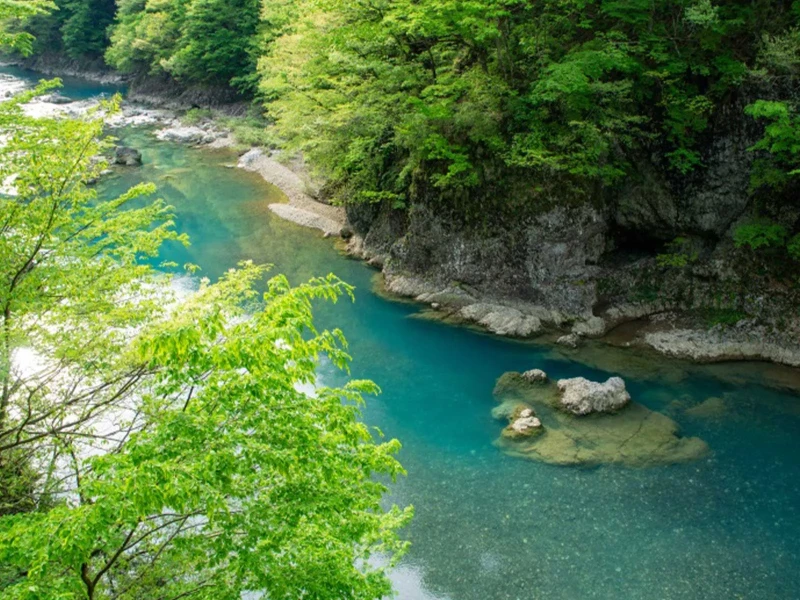 Akita Prefecture