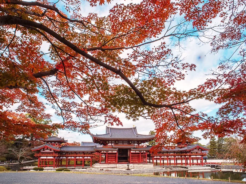Özel 1 Günlük Tur: Kyoto'dan Uji Matcha Deneyimi ve Nara