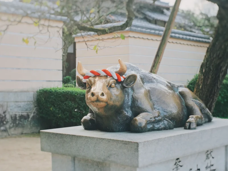 Fukuoka'dan hareketle Dazaifu, Hita, Beppu ve Yufuin'e bir günlük otobüs turu!