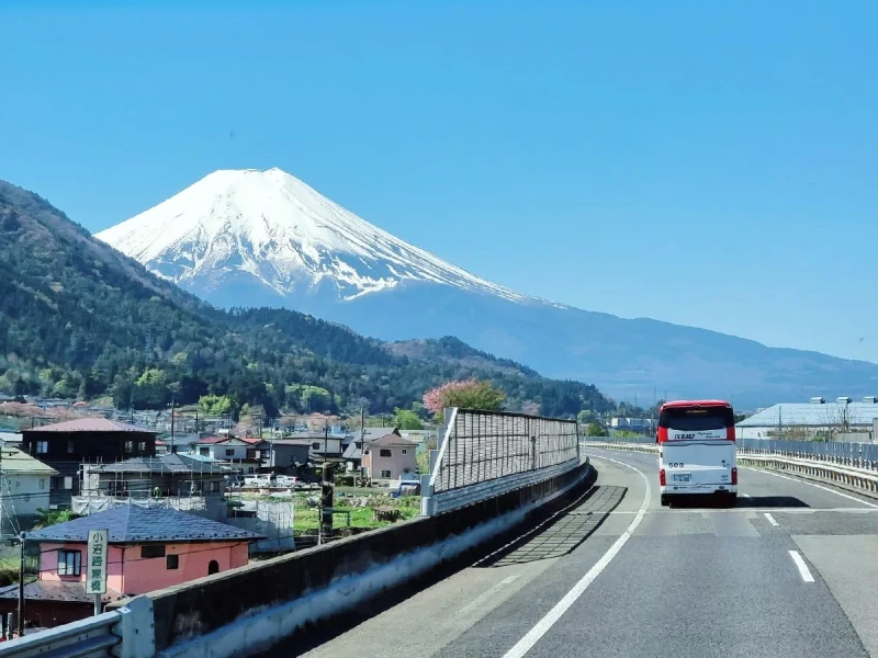 Rusça Konuşan Rehber ile Mt. Fuji ve Hakone Özel Turu