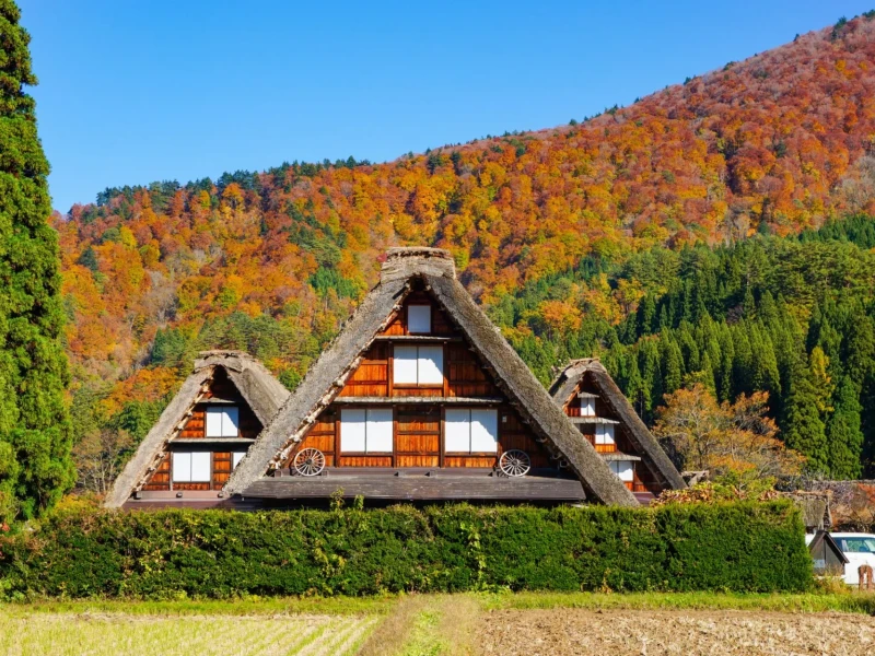 Kanazawa'dan Shirakawago ve Takayama'ya Özel Tur