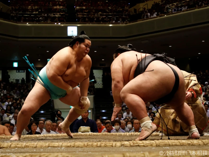 Fukuoka (Kyushu) Sumo Turnuvası Deneyimi - Kasım 2026