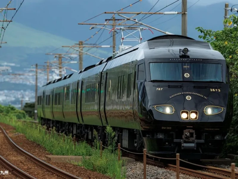 Fukuoka'dan Kirishima'ya 36+3 ile: KASAN Orman Retreat'inde Ruhunuzu Yenileyin