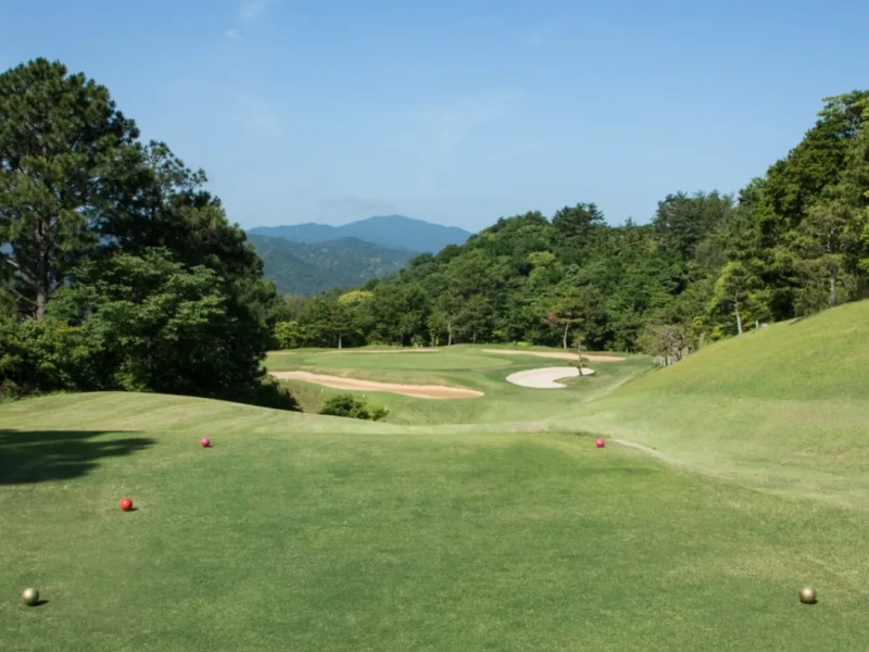 3 Günlük Tur: Tokushima Golf ile Otel ve Transfer