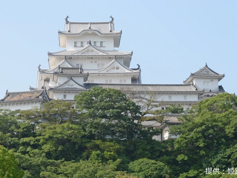 Himeji Kalesi ve Taka Lavanta Parkı'na Özel Gün Turu