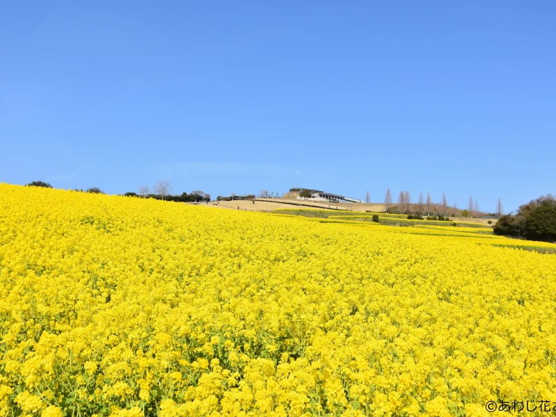 Awaji Parfüm Deneyimi: Osaka'dan Scented Tek Günlük Otobüs Turu