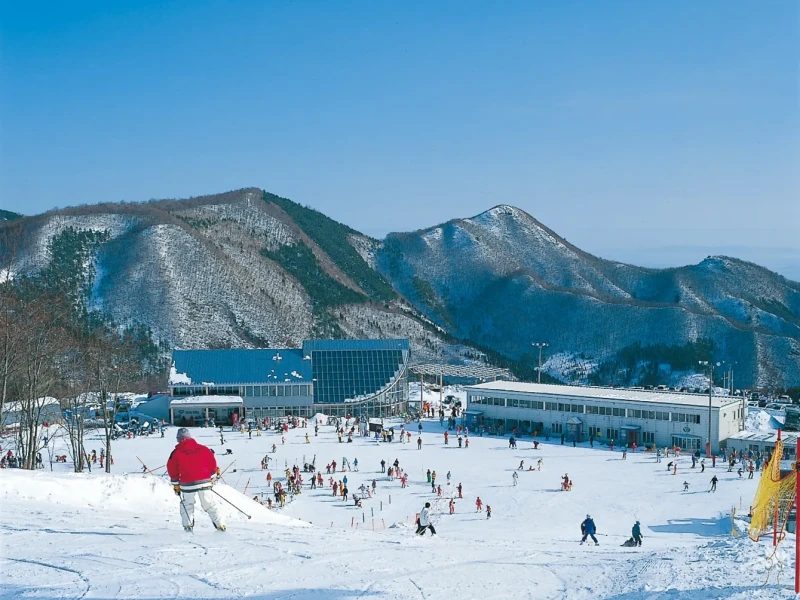 Зимний опыт в Мияги: снежные активности в Spring Valley и сбор клубники в Сендае