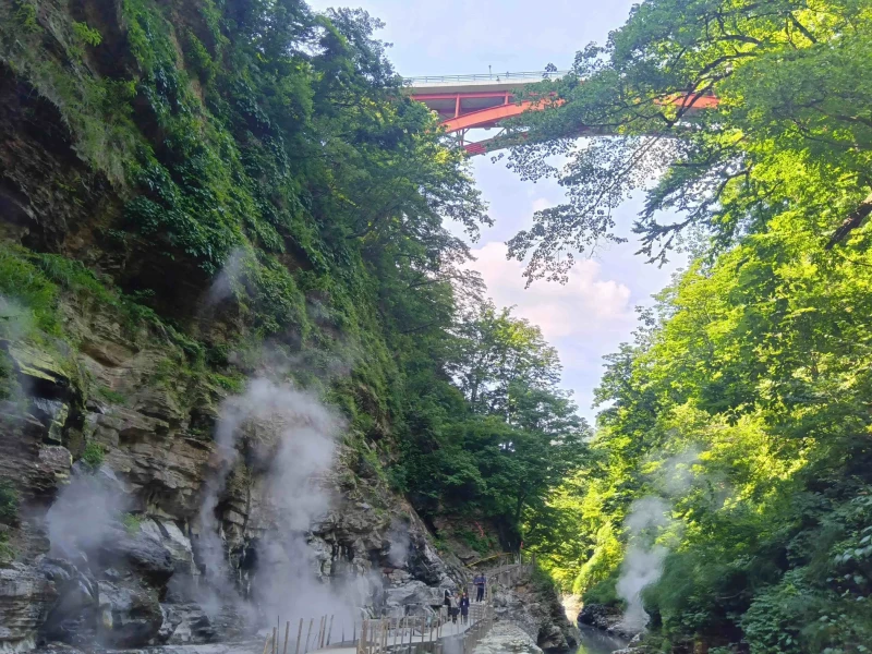 2 Günlük Tohoku Doğa Kaçamağı: Yakurai Kokia Bahçesi, Oyasu Kanyonu ve Onsen Deneyimi