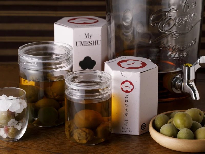 Umeshu Erik Şarabı Yapımı ve Yiyecek Örnekleme için Özel Tur
