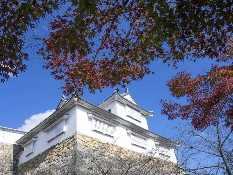 Okayama'dan Tsuyama ve Yunogo Onsen'de Rahatlamak için 1 Günlük Otobüs Turu