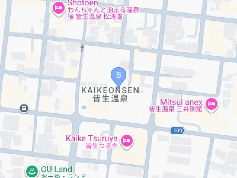 [Tottori - Batı Bölgesi] Mt. Daisen'in Kutsal Kayın Ormanlarını Keşfedin! Zazen Meditasyonu ve Lezzetli Shojin Ryori (Yonago'dan)