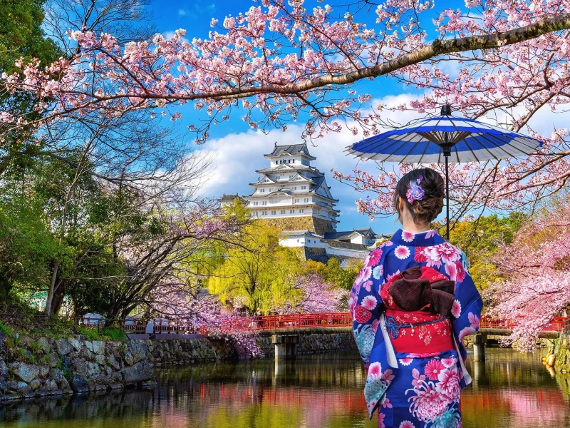 Japonya’ya İlk Kez Gidecekler İçin Bilmeniz Gerekenler