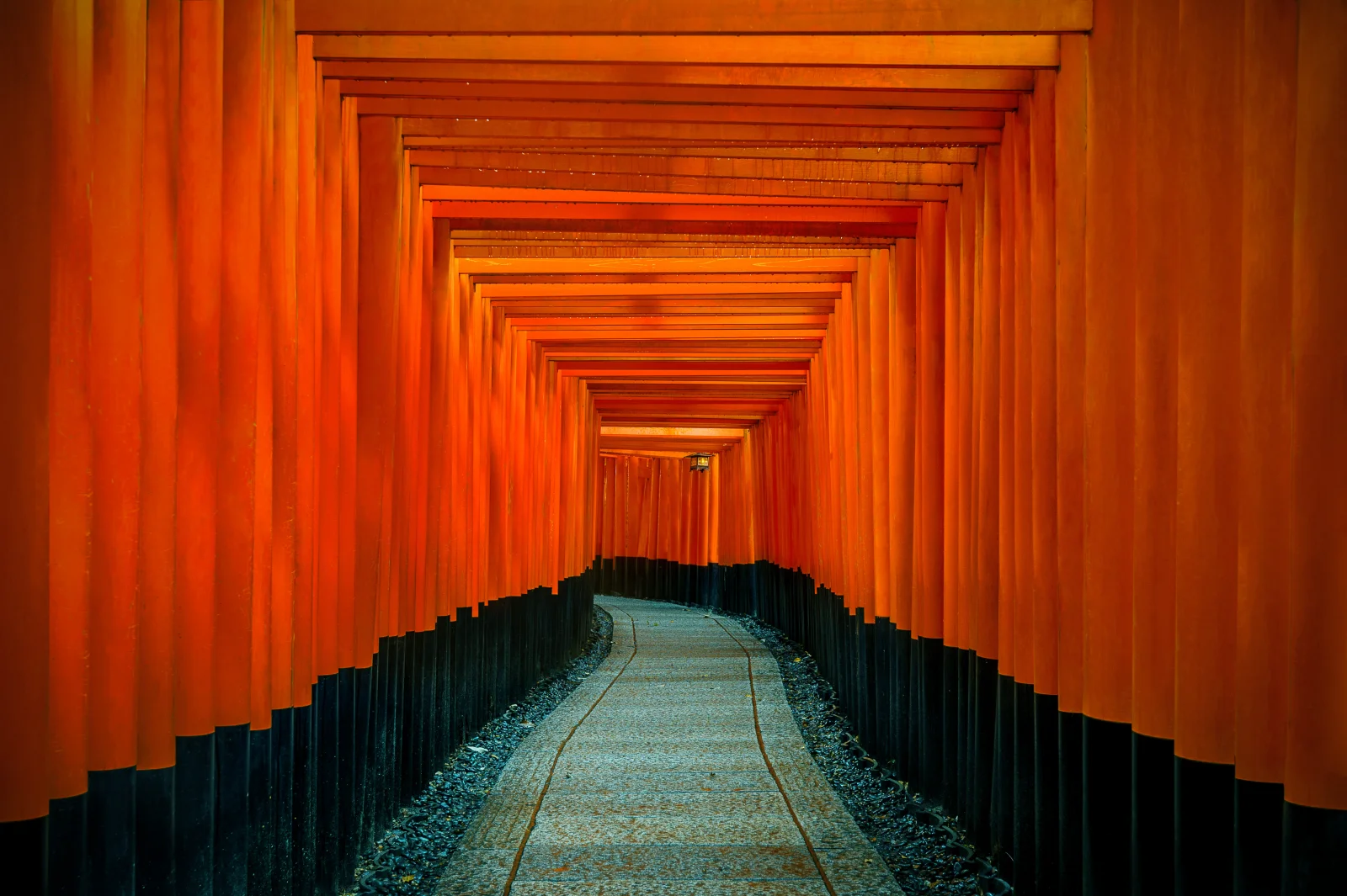 Kyoto'da Fushimi Inari Tapınağı'nın turuncu torii kapılarıyla çevrili yolu